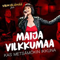 Maija Vilkkumaa – Kas metsamokin ikkuna (Vain elamaa joulu)