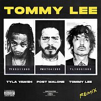 Přední strana obalu CD Tommy Lee (Tommy Lee Remix)