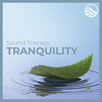 David Lyndon Huff – Sound Therapy: Tranquility