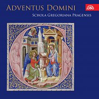 Schola Gregoriana Pragensis – Adventus Domini. Adventní mše Rorate v českých kancionálech 15.- 16. století MP3