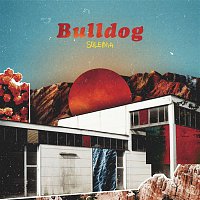 Soleima – Bulldog