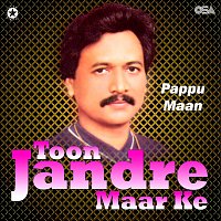 Přední strana obalu CD Toon Jandre Maar Ke