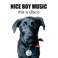 Nice Boy Music – This Is Disco