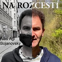 Aleš Agi Bojanovský – Na rozcestí