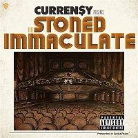 Přední strana obalu CD The Stoned Immaculate (Deluxe Version)