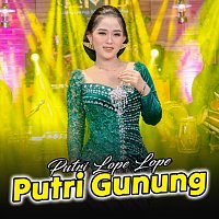 Přední strana obalu CD Putri Gunung