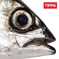 TIPPA, JVG – Roska silmas (feat. JVG)