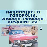 Razni Izvođači – Narodnjaci iz Turopolja, Zagorja, Prigorja, Posavine itd