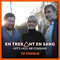Various  Artists – En Trekant En Sang 8 - Hits Hos Brygmann