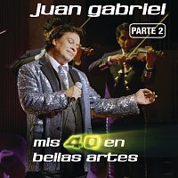 Juan Gabriel – Mis 40 En Bellas Artes [En Vivo Desde Bellas Artes, México/ 2013/ Parte 2]