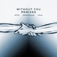 Přední strana obalu CD Without You (Remixes)