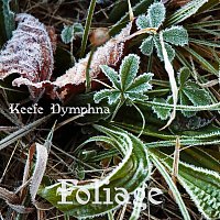 Přední strana obalu CD Foliage