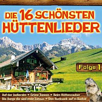 Přední strana obalu CD Die 16 schonsten Huttenlieder