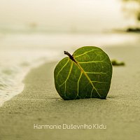 Relaxační Hudba – Harmonie Duševního Klidu