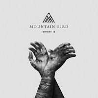 Mountain Bird – Cosmos II