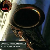 Různí interpreti – A Call To Praise [Gospel Intrumentals]