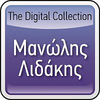 Manolis Lidakis – The Digital Collection