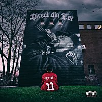Petre Stefan, IDK – Asta o termina