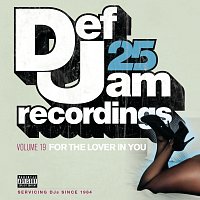 Různí interpreti – Def Jam 25, Vol. 19 - For The Lover In You [Explicit Version]
