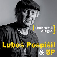Luboš Pospíšil, 5P – Soukromá elegie MP3