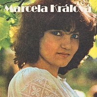 Přední strana obalu CD Já netančím... (singly 1976-1987)