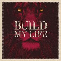 Přední strana obalu CD Build My Life