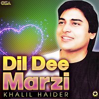 Přední strana obalu CD Dil Dee Marzi