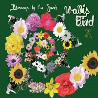 Wallis Bird – Blossoms In The Street [Hooks Rework]