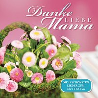 Různí interpreti – Danke liebe Mama - Die 18 schonsten Lieder zum Muttertag