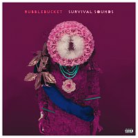 Rubblebucket – Survival Sounds