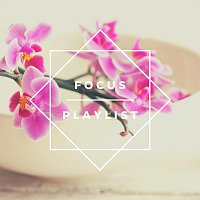 Různí interpreti – Focus Playlist