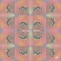 MY Q – Just Like a Flower