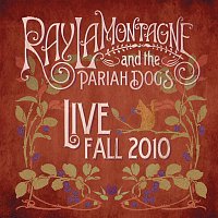 Ray Lamontagne – Live - Fall 2010