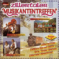 Přední strana obalu CD Zillertaler Musikantentreffen - Folge 2