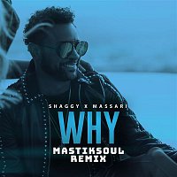 Shaggy & Massari – Why (Mastiksoul Remix)