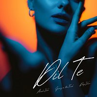 Přední strana obalu CD Dil Te