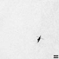 Přední strana obalu CD Remede