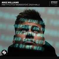 Mike Williams – Pretty Little Words (feat. Zack Hall) [Extended Mix]