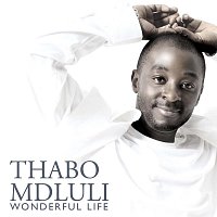 Thabo Mdluli – Wonderful Life