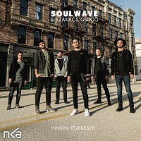 Soulwave, Szakács Gergő – Minden Tévedésem