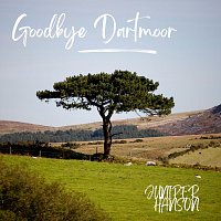 Goodbye Dartmoor