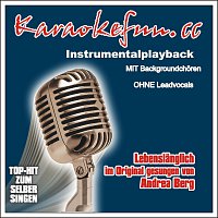 Přední strana obalu CD Lebenslanglich - Karaoke