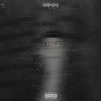 Nickbreaker – Input