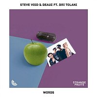 Steve Void & BEAUZ – Words