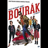 Různí interpreti – Bourák DVD