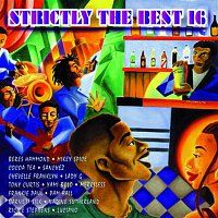 Various Artists.. – Strictly The Best Vol. 16