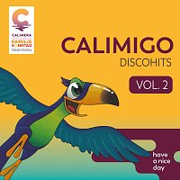 Přední strana obalu CD Calimigo Discohits Vol. 2