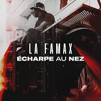 Přední strana obalu CD Écharpe au nez