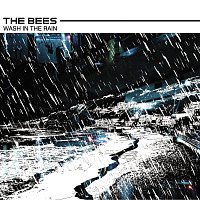 The Bees – Wash In The Rain