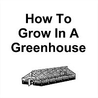 Simone Beretta – How to Grow in a Greenhouse